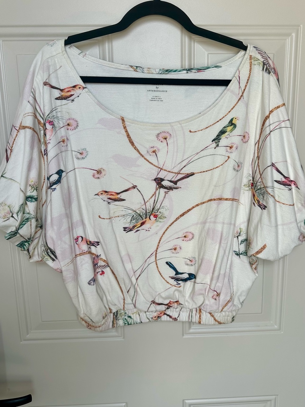 Anthropologie Cream Bird & Floral Scoop-Neck Crop Top